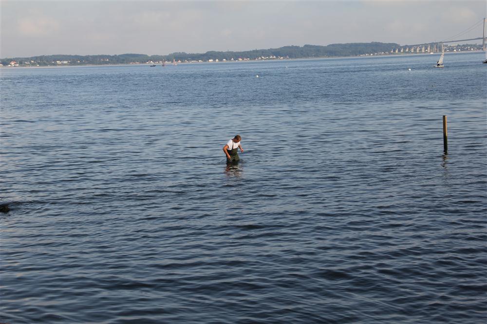 Vis 20120816 183731.jpg i fuld st�rrelse